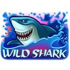 Wild Shark game thumbnail